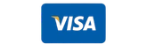 visa-pay logo